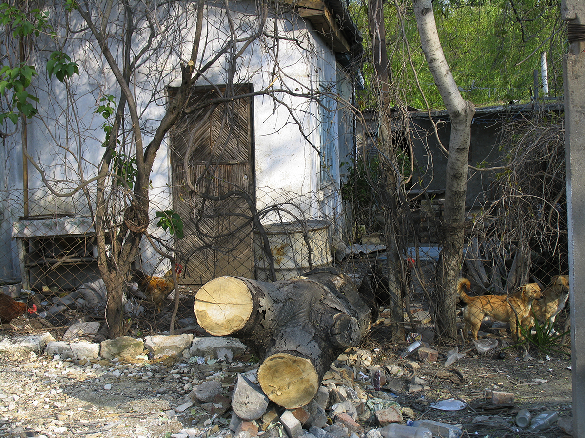 Крым.Феодосия