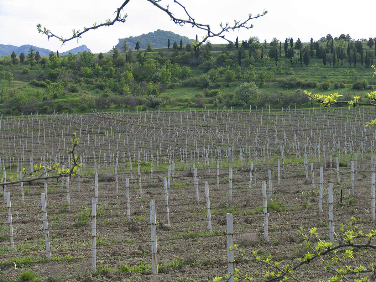 Крым.Окресности Коктебеля...