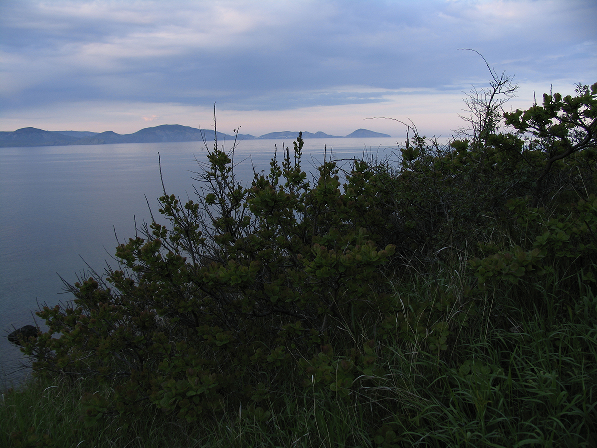 Крым.Коктебель.Бухты Кара-Дага