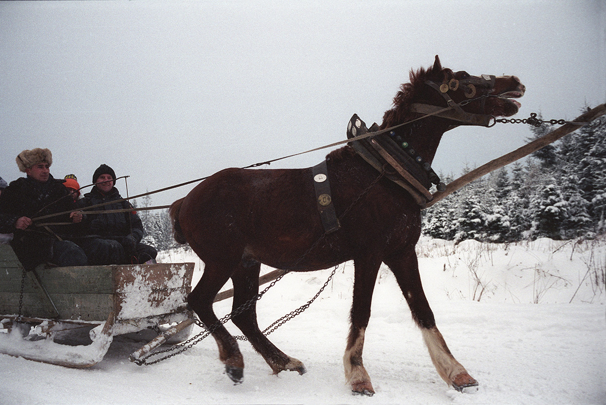 Украина.Карпаты.Сходня.Рождество
